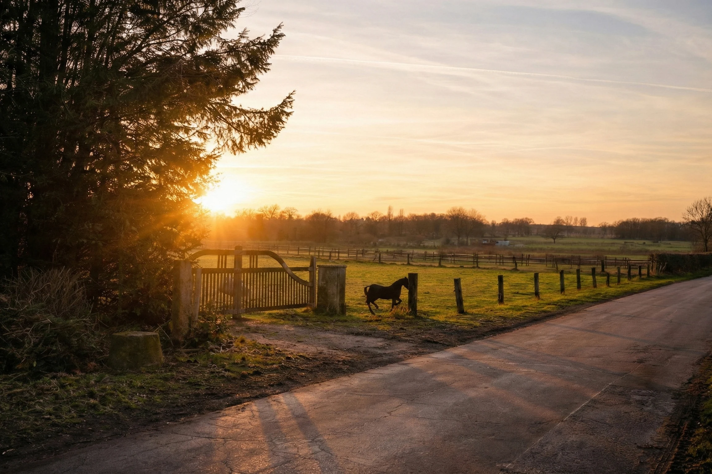 Sonnenuntergang in ländlicher Umgebung bei einer Hochzeitslocation in Bottrop nach der standesamtlichen Trauung